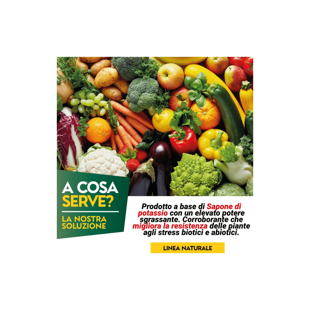 Sapone Molle Concentrato | AlbaGarden - 250ml