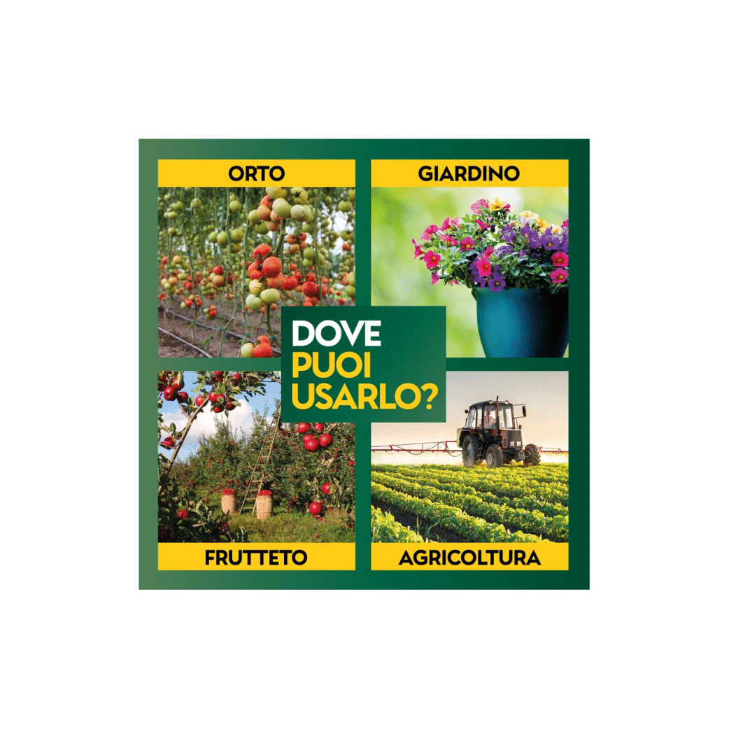 Lecitina in Polvere | AlbaGarden - 100g