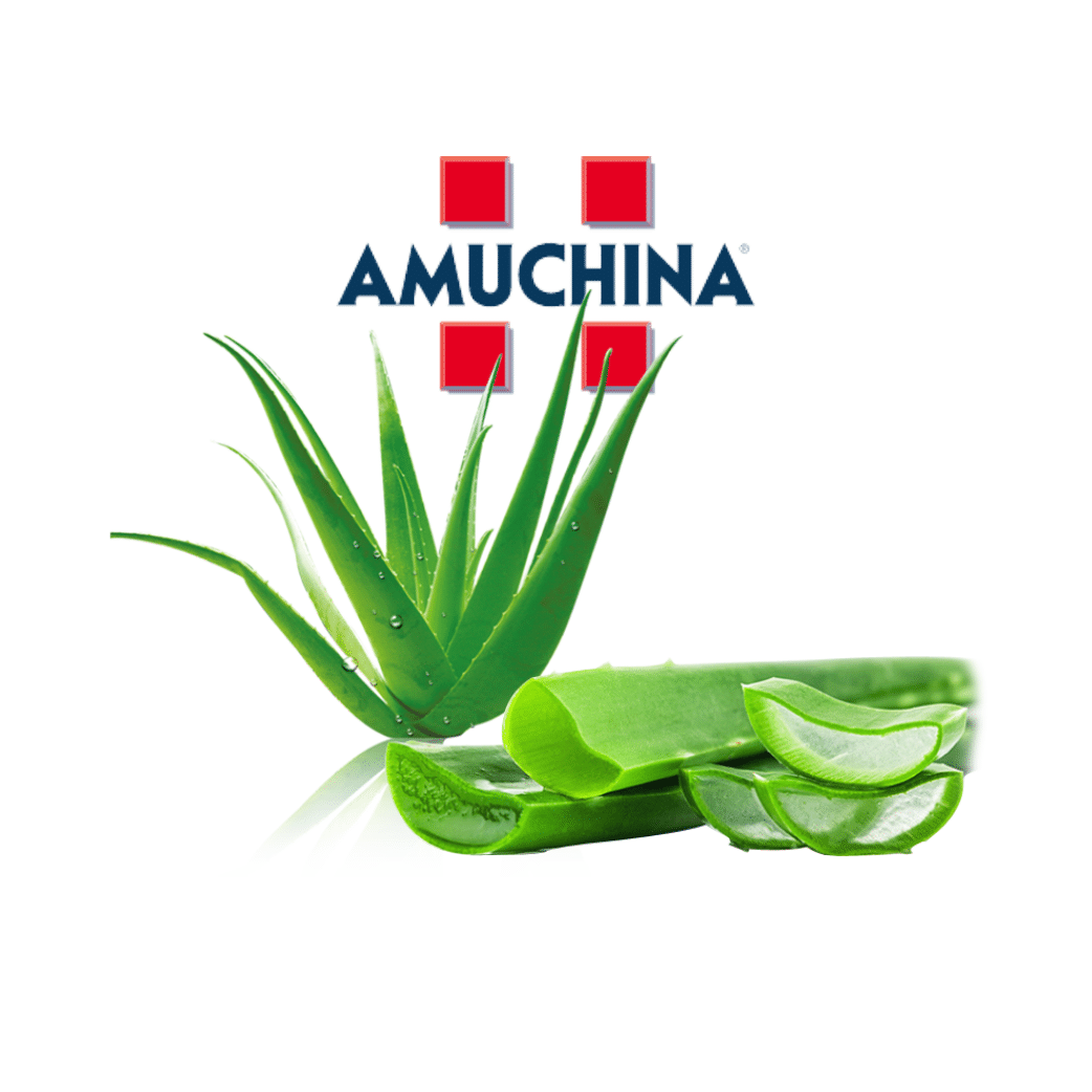 Detergente Igienizzante Pavimenti Aloe Vera Amuchina | Tanica da 5LT