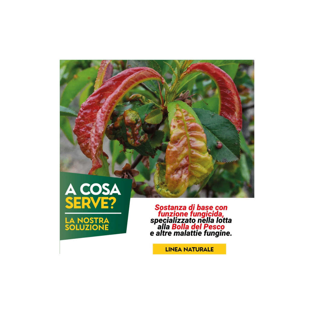 Lecitina in Polvere | AlbaGarden - 100g