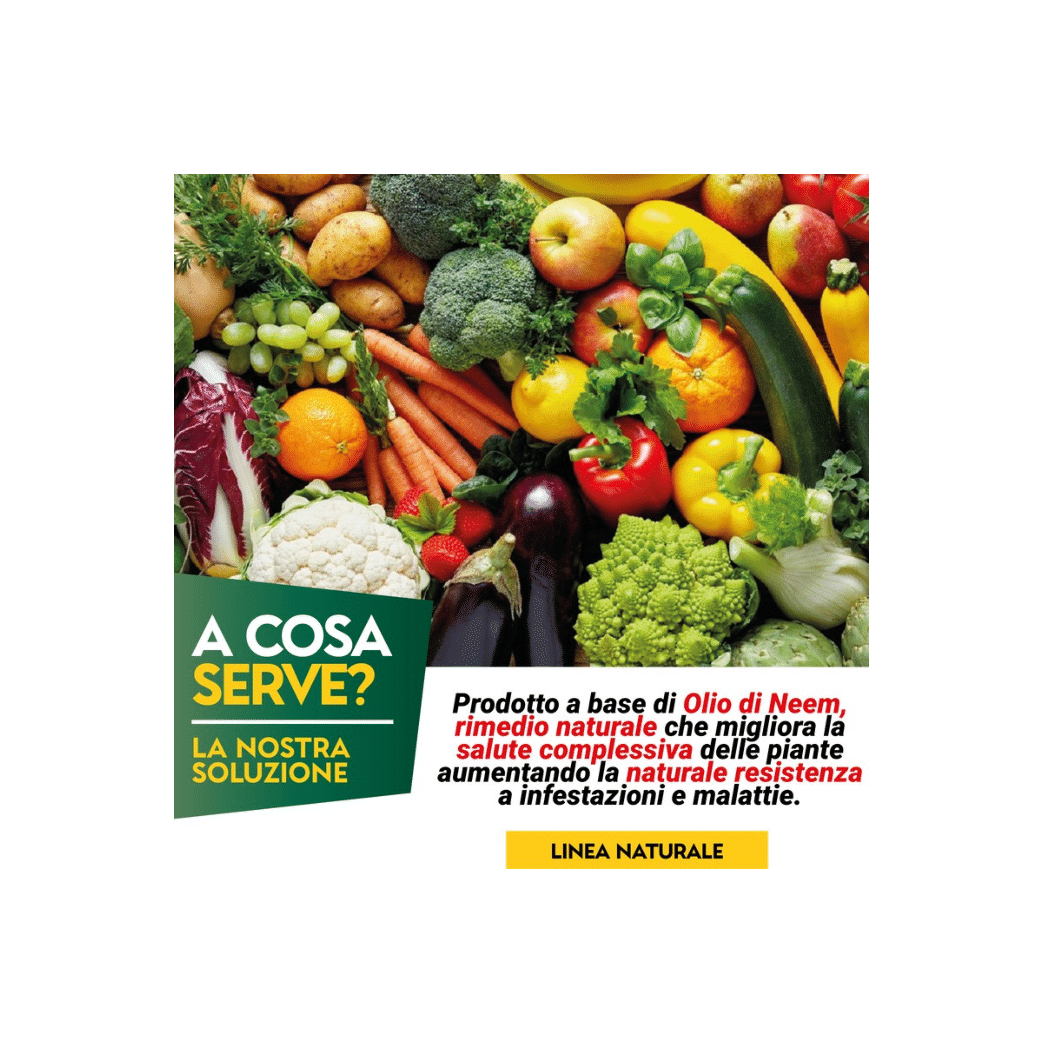 Olio di Neem Concentrato | AlbaGarden - 250ml